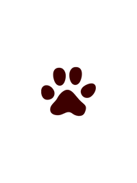 1 Dog