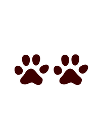 2 Dogs